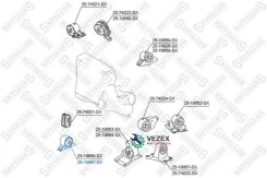 ������� ��������� ��������! Nissan Primera P11 96-01 Stellox 2519667SX 2519667SX ����