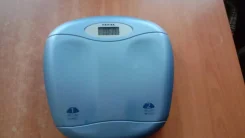 ���� ���������. ����