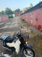 Suzuki Birdie. 49����. ��., ���������, ��� ������� ����