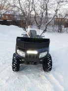Arctic Cat 650 H1. ��������, ��, �� ����
