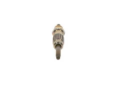 ����� ����������� 0 0250202034 Bosch 0250202034 ����