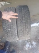 NorthTrek N1. ������, ��� �����, 2010 ���, �/�, ����� 50 % ����