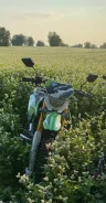 Vento. 250����. ��., ��������, ��� ���, ������ �� �� ����