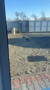 �����. ����