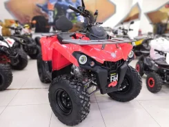 Motax ATV Grizlik 200 Ultra. ��������, ��� ���\���, ��� ������� ����
