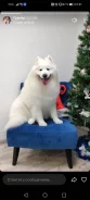 ���������� ������. ����