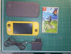 Nintendo Switch Lite ����