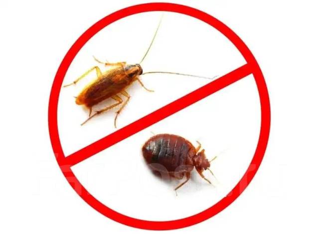 Уничтожение, травля тараканов и клопов. Гарантия. Эффективно. От 1500р ...