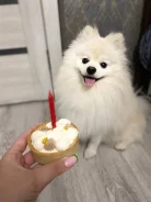 ����������� ����. ����