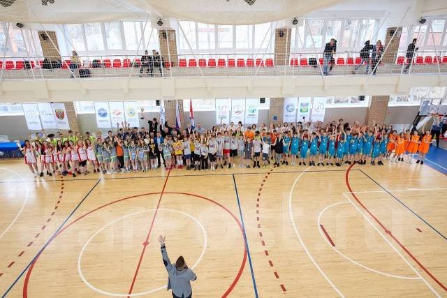 Арена спорта ул володарского 3а фото