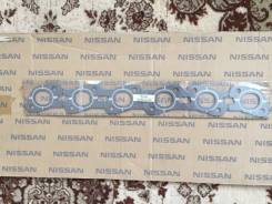 ��������� ���������� ���������� 1403621U00 �� ���������� Nissan 1403621U00 ����