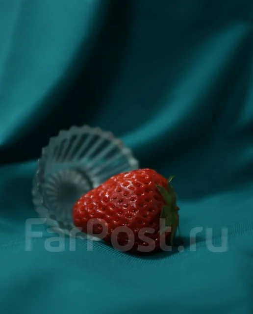 Nikon D7200 ����