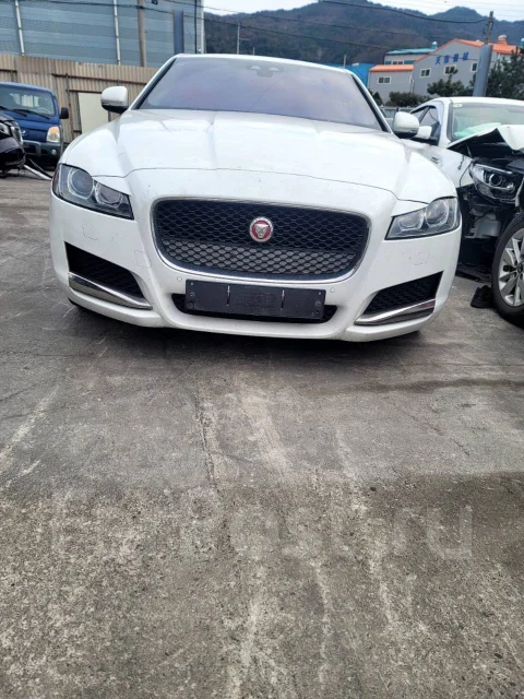 Jaguar XF ����