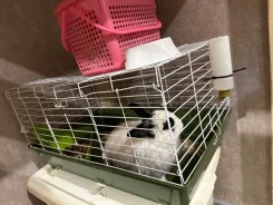 ������. ����
