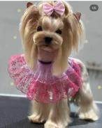 �������. ����