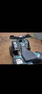 Grizzly. ��������, ��, �� ����