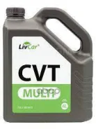 LivCar