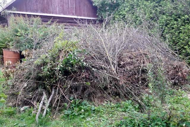Расчистка участка от деревьев и кустарников во Владивостоке