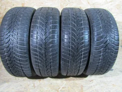 Dunlop SP Winter Sport 4D