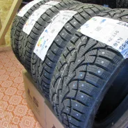 ZMax Winternova Stud I. ������, ����������, 2023 ���, ����� ����