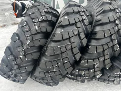 �������� ��-25. �����������, 2025 ���, ����� ����