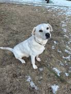 Найти 1 4 от 43. Как вычислить часть от числа. Найти 1 4 от 43. Как найти значение выражения. Найдите знание выражения.