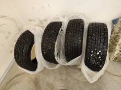 Profil. ������, 2019 ���, �/�, ����� 40 % ����