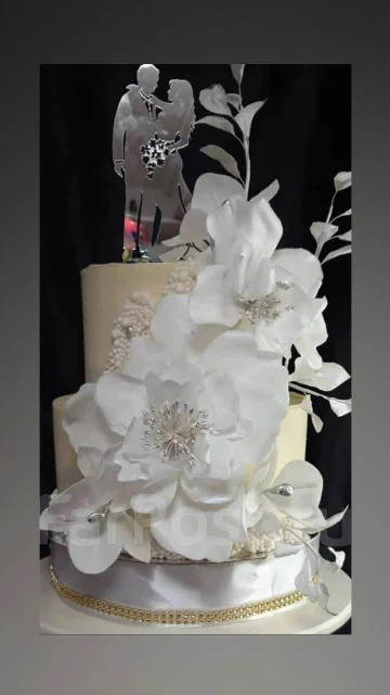 �������. ����� . ������� . ����