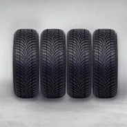 CEAT. ������, ��� �����, 2022 ���, ����� ����