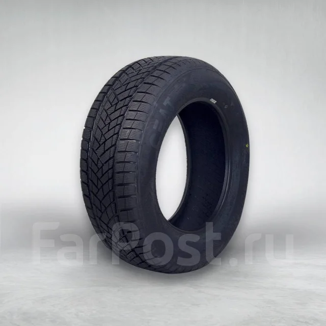CEAT. ������, ��� �����, 2022 ���, ����� ����