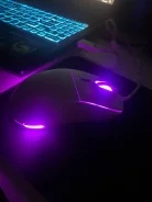 ���� �������. ����