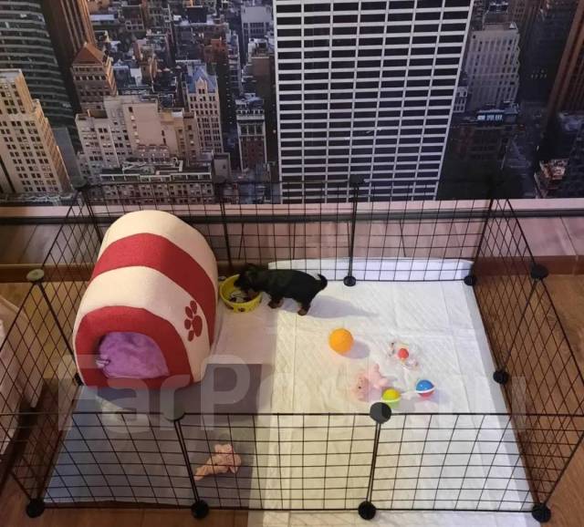 Вольер для собак и кошек 35x35. Новый, собак, кошек, грызунов, кроликов ...