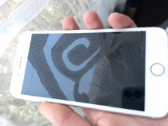 Apple iPhone 8 Plus. �/�, 64 ��, �����, 4G LTE ����