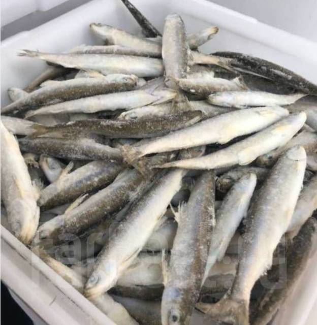 Корюшка, в наличии. Цена: 550₽ во Владивостоке