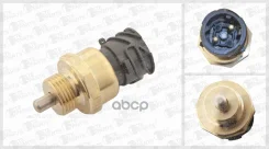 ������ ���������� �������������, ����������� ������� ������� ����. DAF MAN TE Parts ���. 13532997 13532997 ����