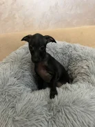 ��������. ��� ����� �� ���������� ����
