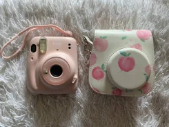 Fujifilm Instax Mini 11. ���: ��� ���� ����