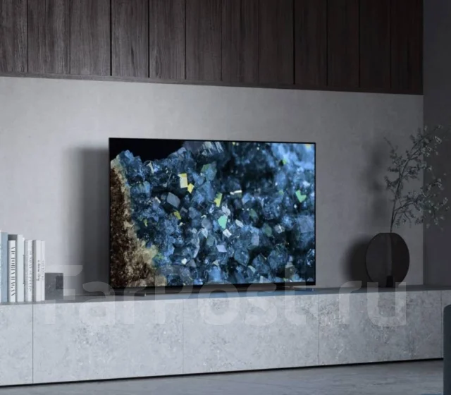 Sony. OLED ����