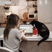 �������, ����� �� ������������. ��� ������-�����������. �������� ��������� 69 ����