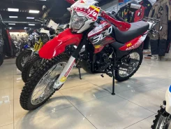 Racer Panther RC300-GY8X. 300����. ��., ��������, ���������, ��� ������� ����