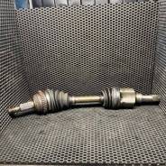  Dodge Neon 2001 123456789123 ES,   123456789123 