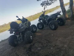 Grizzly. ��������, ��, �� ����