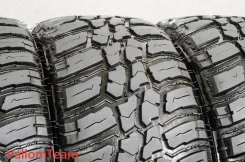 Nankang Mudstar Radial M/T