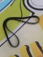 ������ ��������� Daewoo Nexia/Lanos ����� 1579401 1579401 ����