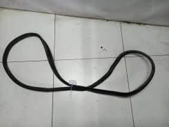 ���� ������ l ����������� ������ ����� 11186107014 ����