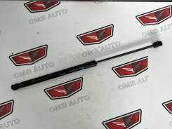 ����������� ����� ��������� ����� ����� � GTC 13220159 ����