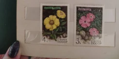 �������� ����� ����. 1977 "����� ��� ������" 50 ������ ����