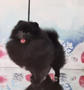 ����. ����