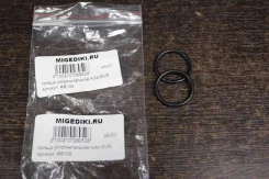 ������ �������������� ������� ���� Auto-GUR RR109 RR109 ����