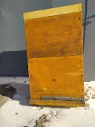 ����. ����